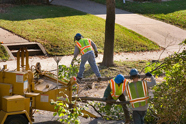 Best Lawn Fertilization  in Killeen, TX